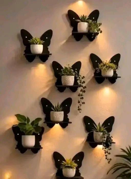 Woll decor squir pack of 8