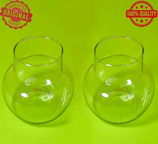 Green Fills Glass Vase  for Bamboo Plant, Money Pla