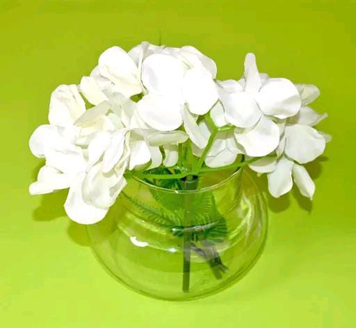 Green Fills Glass Vase  for Bamboo Plant, Money Pla