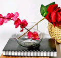 Green Fills Glass Vase  for Bamboo Plant, Money Pla